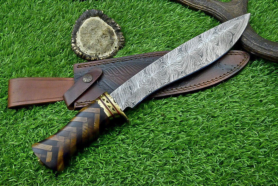 Hand Forged Damascus Bowie Knife with Natural Wood Handle and Brass Bolster 14.5 Inches
