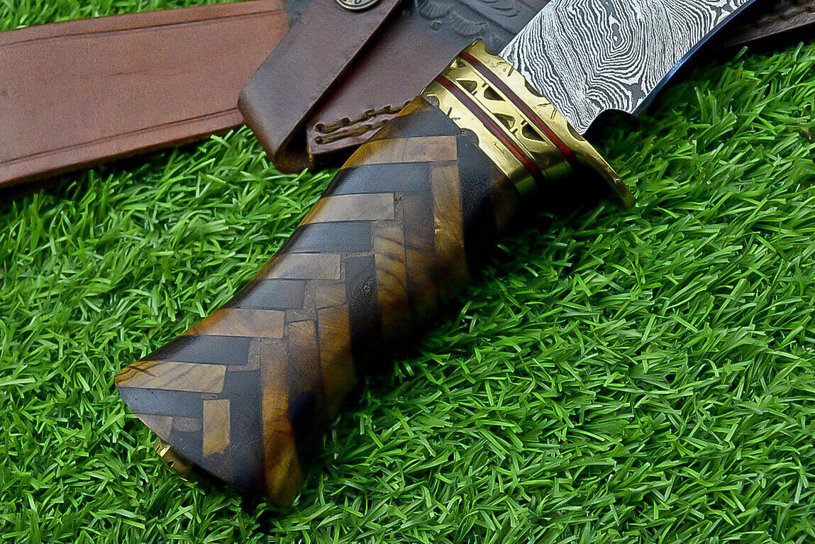Hand Forged Damascus Bowie Knife with Natural Wood Handle and Brass Bolster 14.5 Inches