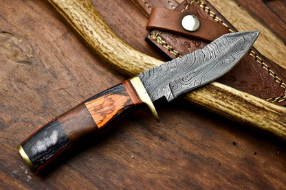 8 Inch Custom Damascus Hunting Knife with Hardwood Handle