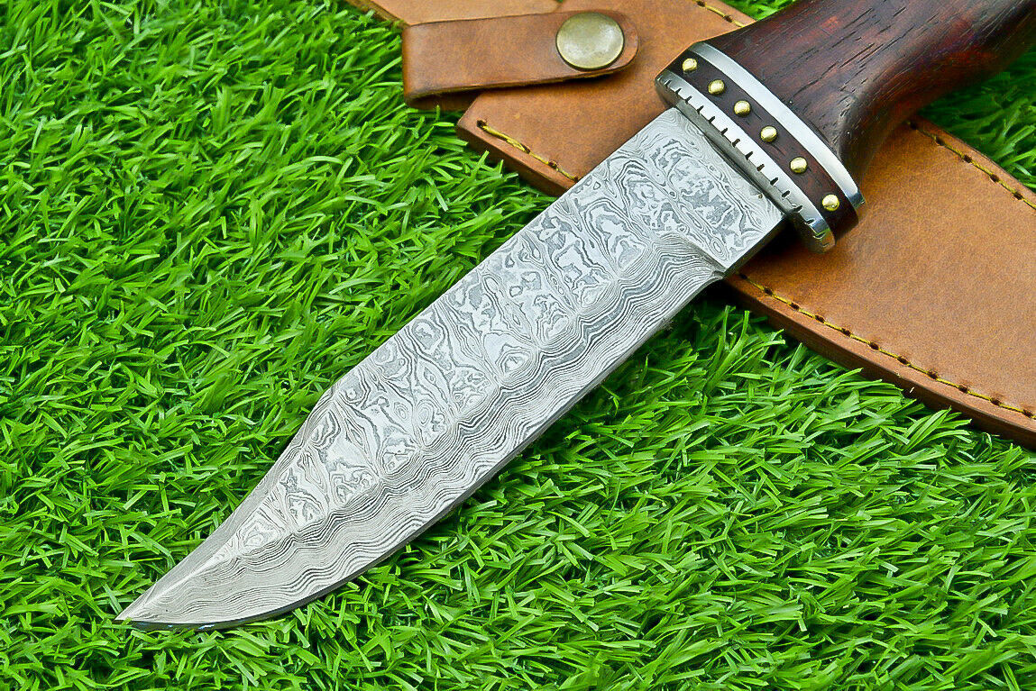 Damascus Steel Bowie Knife with Natural Wood Handle for Camping and Hunting