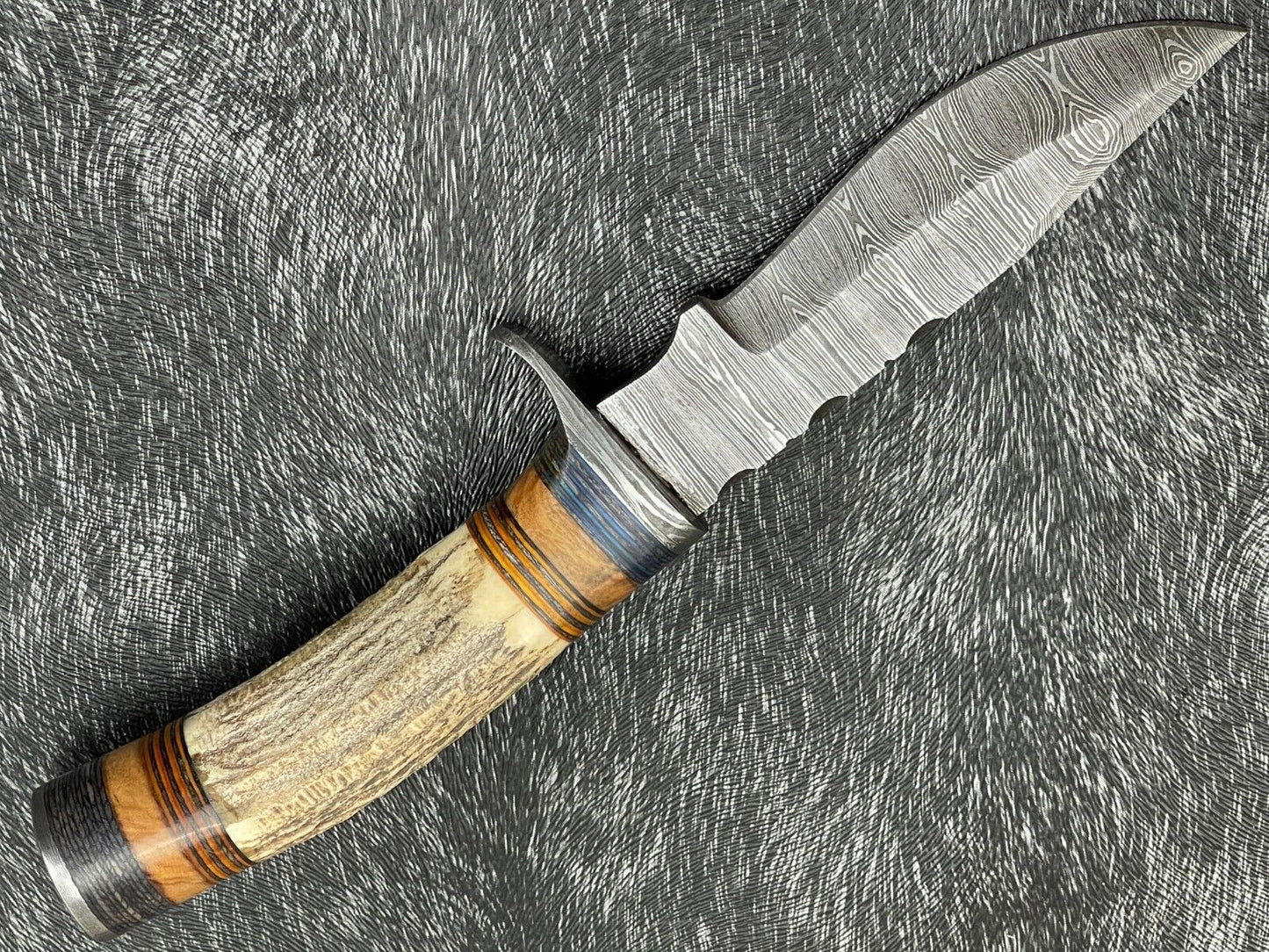 8 Inch Handmade Damascus Hunting Knife with Stag Horn and Hardwood Handle