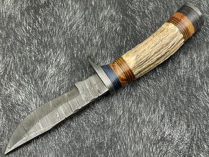 8 Inch Handmade Damascus Hunting Knife with Stag Horn and Hardwood Handle