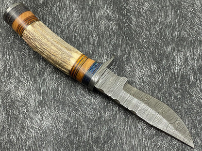 8 Inch Handmade Damascus Hunting Knife with Stag Horn and Hardwood Handle