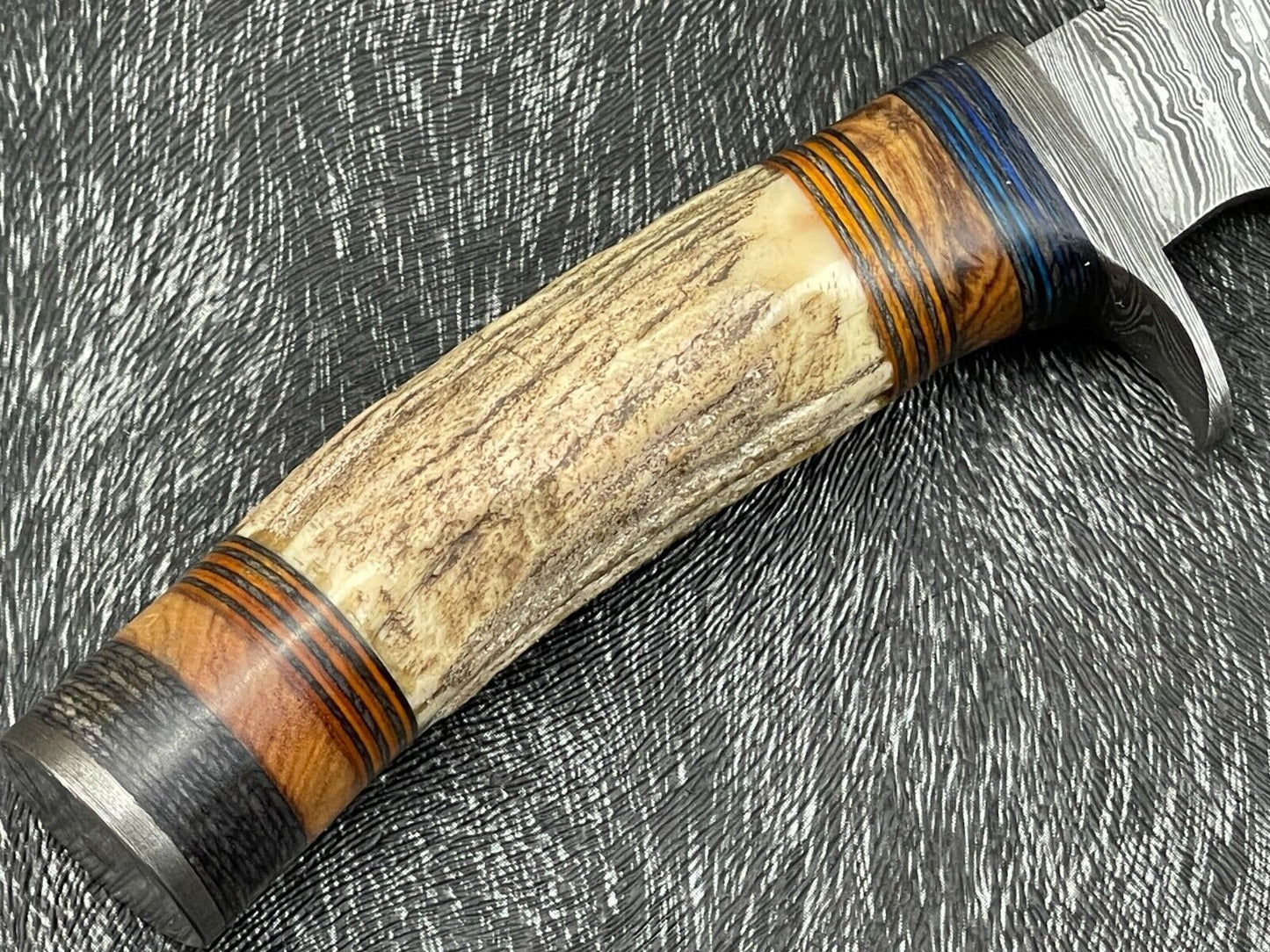 8 Inch Handmade Damascus Hunting Knife with Stag Horn and Hardwood Handle