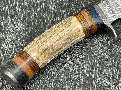 8 Inch Handmade Damascus Hunting Knife with Stag Horn and Hardwood Handle