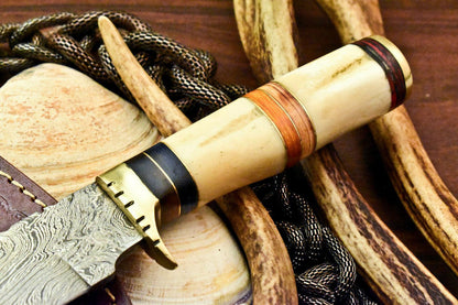 12" Handmade Damascus Bowie Knife – Stained Camel Bone Handle with Leather Sheath