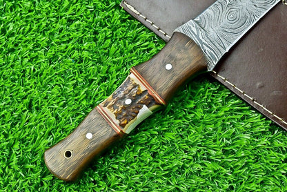 14.5 Inch Damascus Steel Bowie Dagger with Stag Horn and Natural Wood Handle