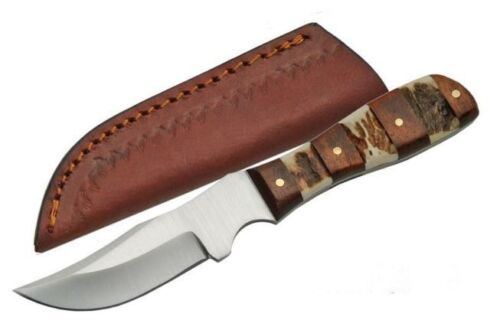 6.25" Steel Stag Skinner Knife – Stainless Steel Blade, Stag & Wood Handle, Leather Sheath