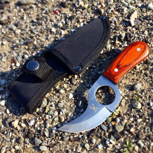 6" Custom Full Tang Stainless Steel Skinner Knife with Wood Handle – Hunting & EDC