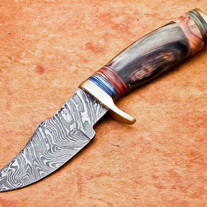 6" Damascus Bowie Knife – Ram Horn & Hardwood Handle