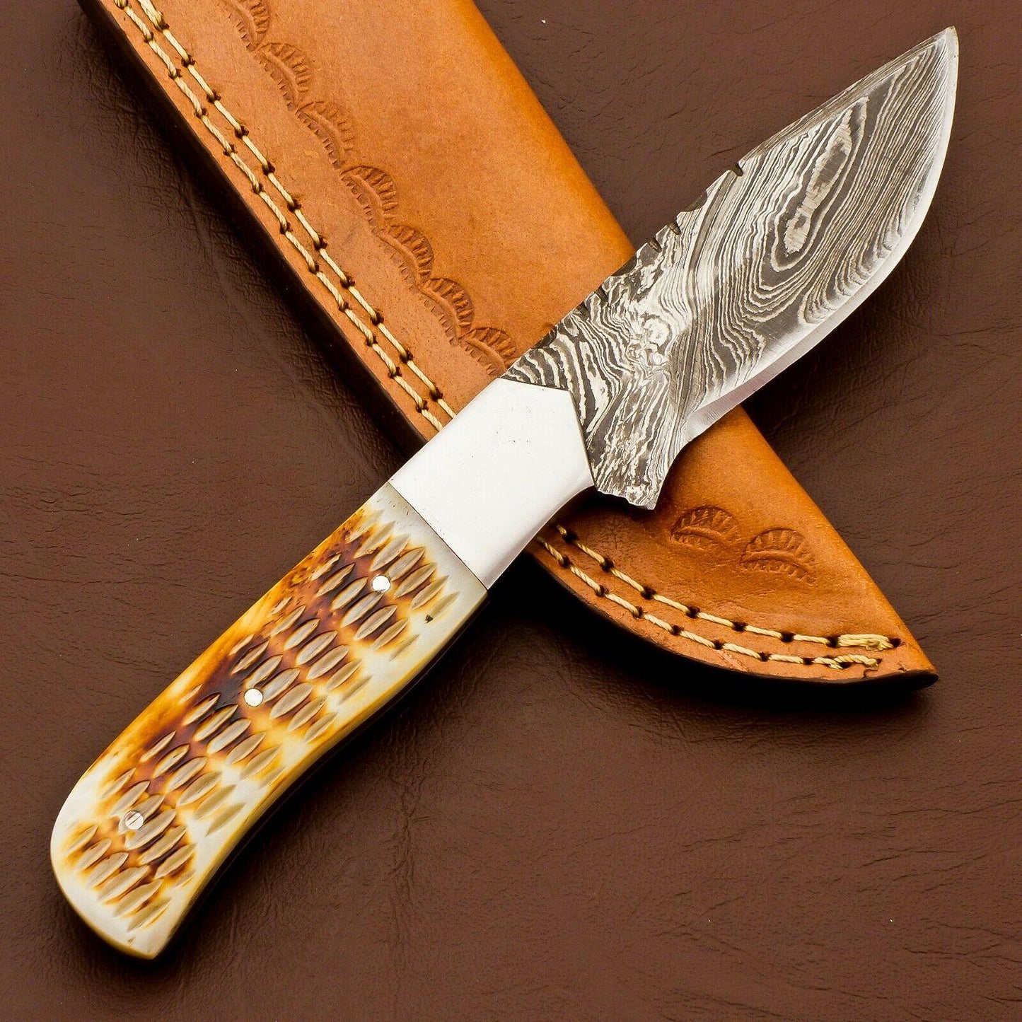 8.5" Handmade Damascus Bowie Knife | Camel Bone Handle & 3.5" Blade
