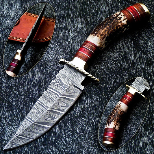 8" Damascus Bowie Knife – Stag Horn Handle & Brass Bolster