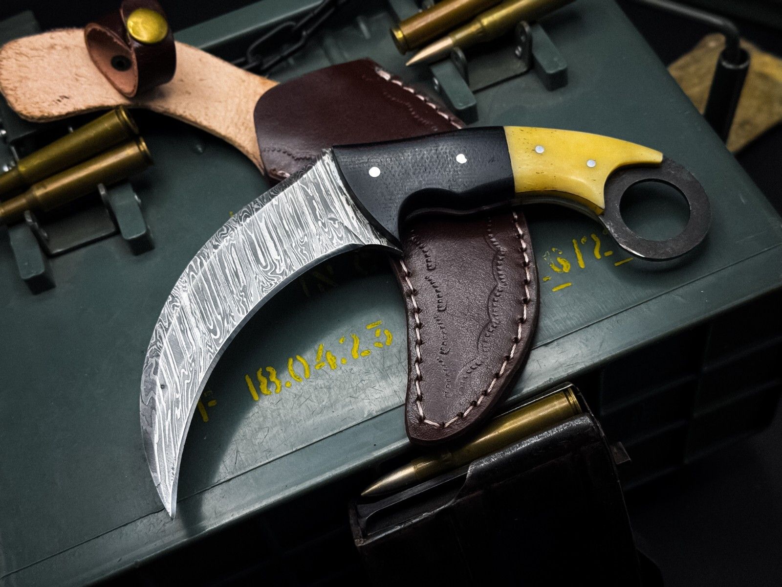 8” Damascus Karambit Knife Full Tang Damascus Steel Knife with Bone & Micarta Handle
