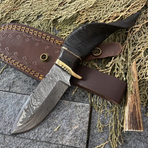 8" Damascus Steel Bowie Knife with Ram Horn Handle – EDC Fixed Blade 