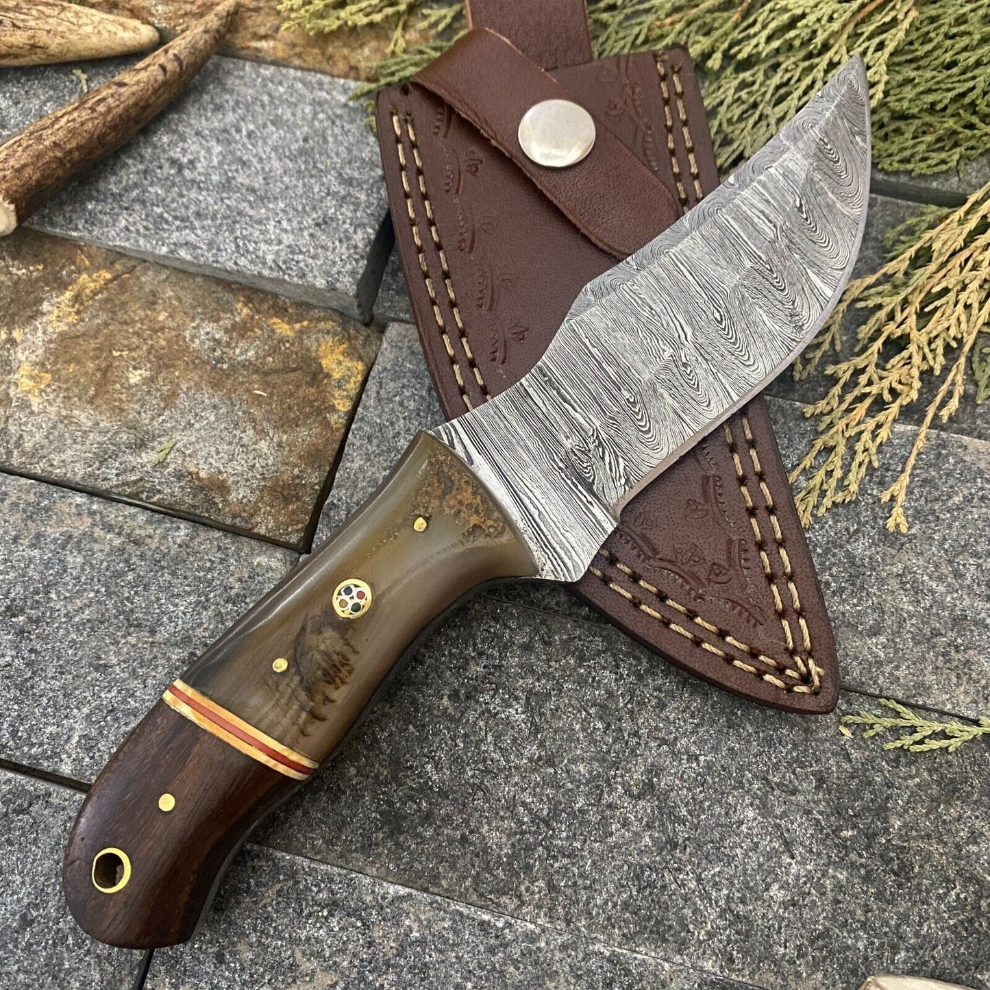 8" Damascus Steel Bowie Knife with Ram Horn & Wood Handle