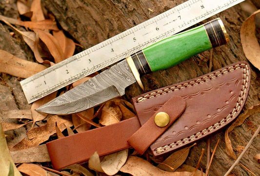 8 Inch Damascus Steel Bowie Knife with Resin Handle and Brass Guard