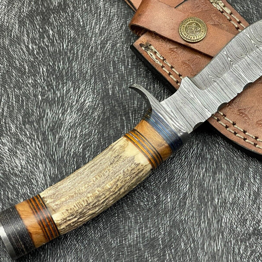 8 Inch Handmade Damascus Hunting Knife with Stag Horn and Hardwood Handle