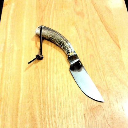 9" Stag Skinner Knife 4.5" Stainless Steel Clip Point Blade with Leather Sheath