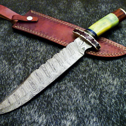 Authentic Hand Forged Damascus Bowie Hunting Knife | Stained Camel Bone Handle