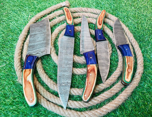 Custom Handmade Damascus Steel 5 Knives Cutlery Chef Knife Set with Bag for Kitchen