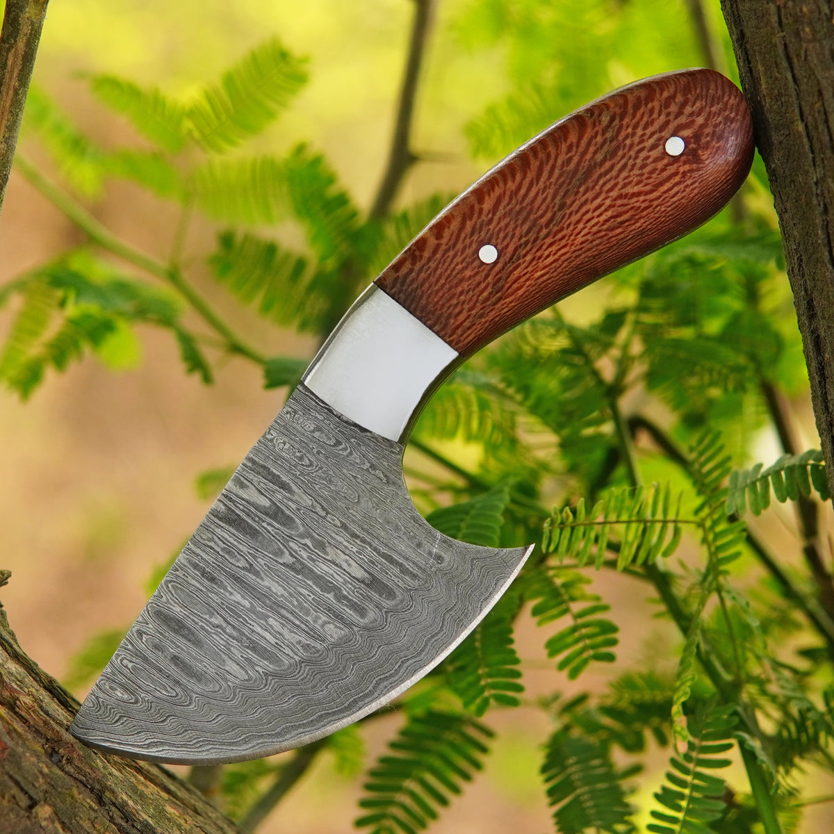 6.5-inch handmade Damascus skinner knife with Oriental Wood handle and leather sheath