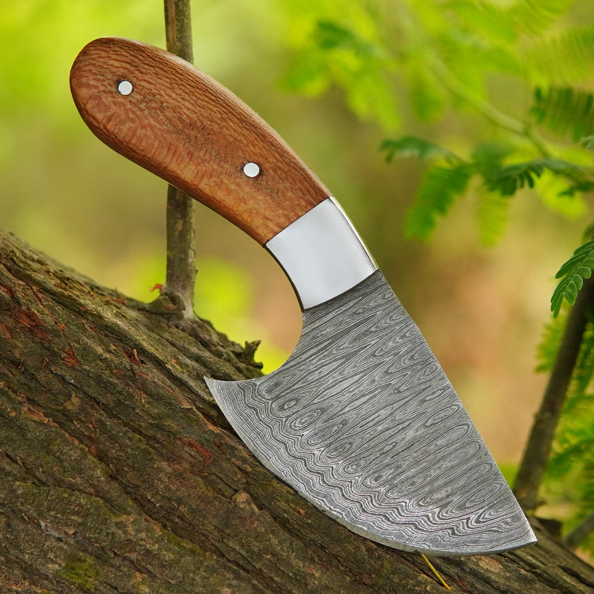 6.5" Handmade Damascus Skinner Knife with Oriental Wood Handle & Sheath