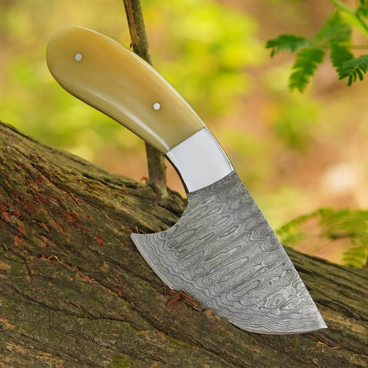 6.5" Handmade Damascus Skinner Knife with Camel Bone Handle & Sheath