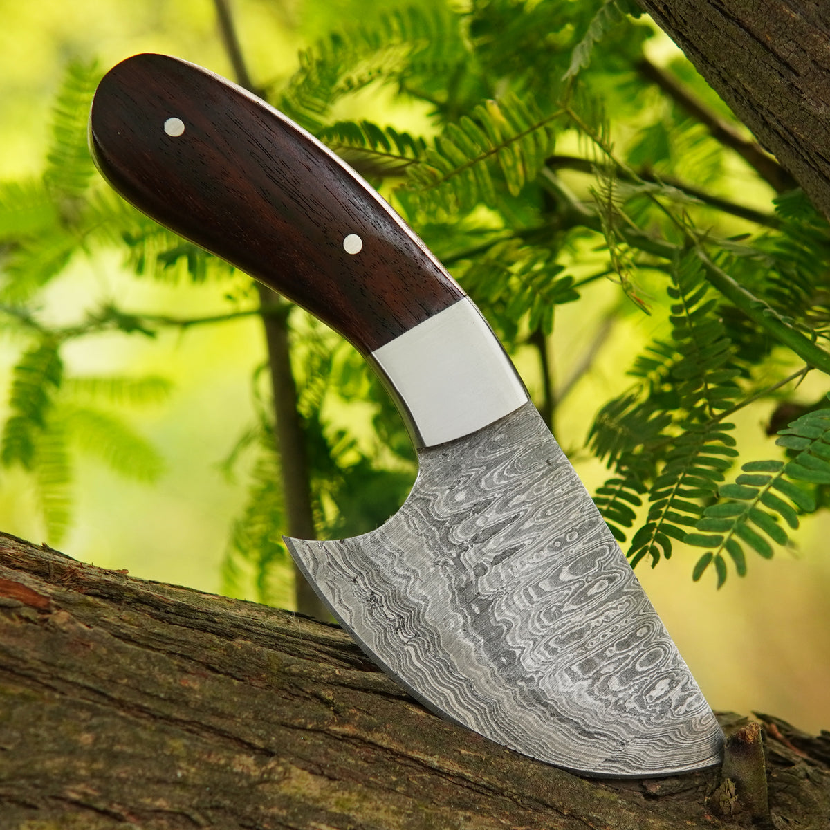 6.5" Handmade Damascus Skinner Knife with Rosewood Handle & Sheath