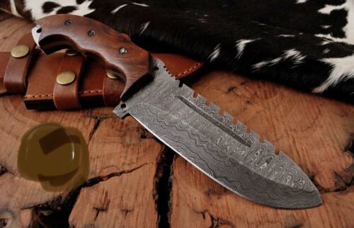 Damascus Steel 10" Hunting Survival Camping Outdoor Knife with Wood Handle & Sheath