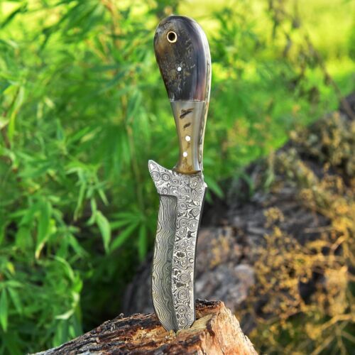 Damascus Steel Bull Cutter Knife Custom Handmade Hunting Bull Knife with Ram Horn Handle