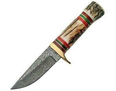Damascus Steel Fixed Blade Hunting Knife | Stag Handle, Leather Sheath, 10.75"