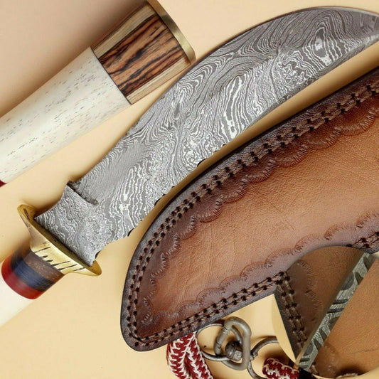 Damascus Steel Hunting Bowie Knife | Custom Forged 512 Layer | Camel Bone Handle & Brass Guard