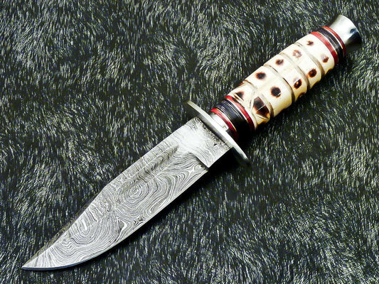Hand Forged Damascus 10" Bowie Hunting Knife | Camel Bone & Hardwood Handle
