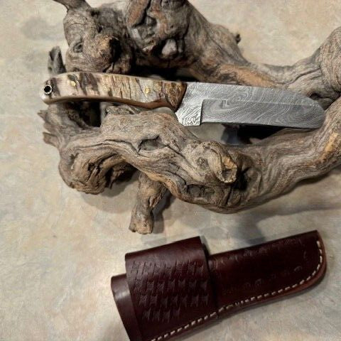 Hand Forged Damascus Steel Bull Cutter Knife Cowboy Bull Cutter Knife with Rams Horn Handle
