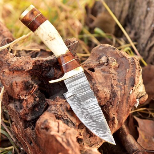 Handmade Damascus Skinner Knife Stag Antler Handle Brass Guard Custom Fixed Blade Hunting Knife