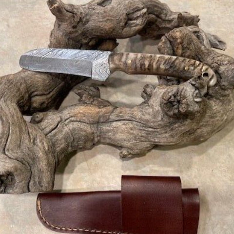 Handmade Damascus Steel Bull Cutter Knife Cowboy Bull Cutter Knife with Rams Horn Handle