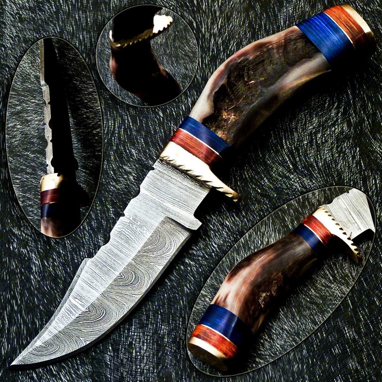 Heritage Forge 8 Inch Damascus Steel Hunting Knife with Ram Horn and Hardwood Handle
