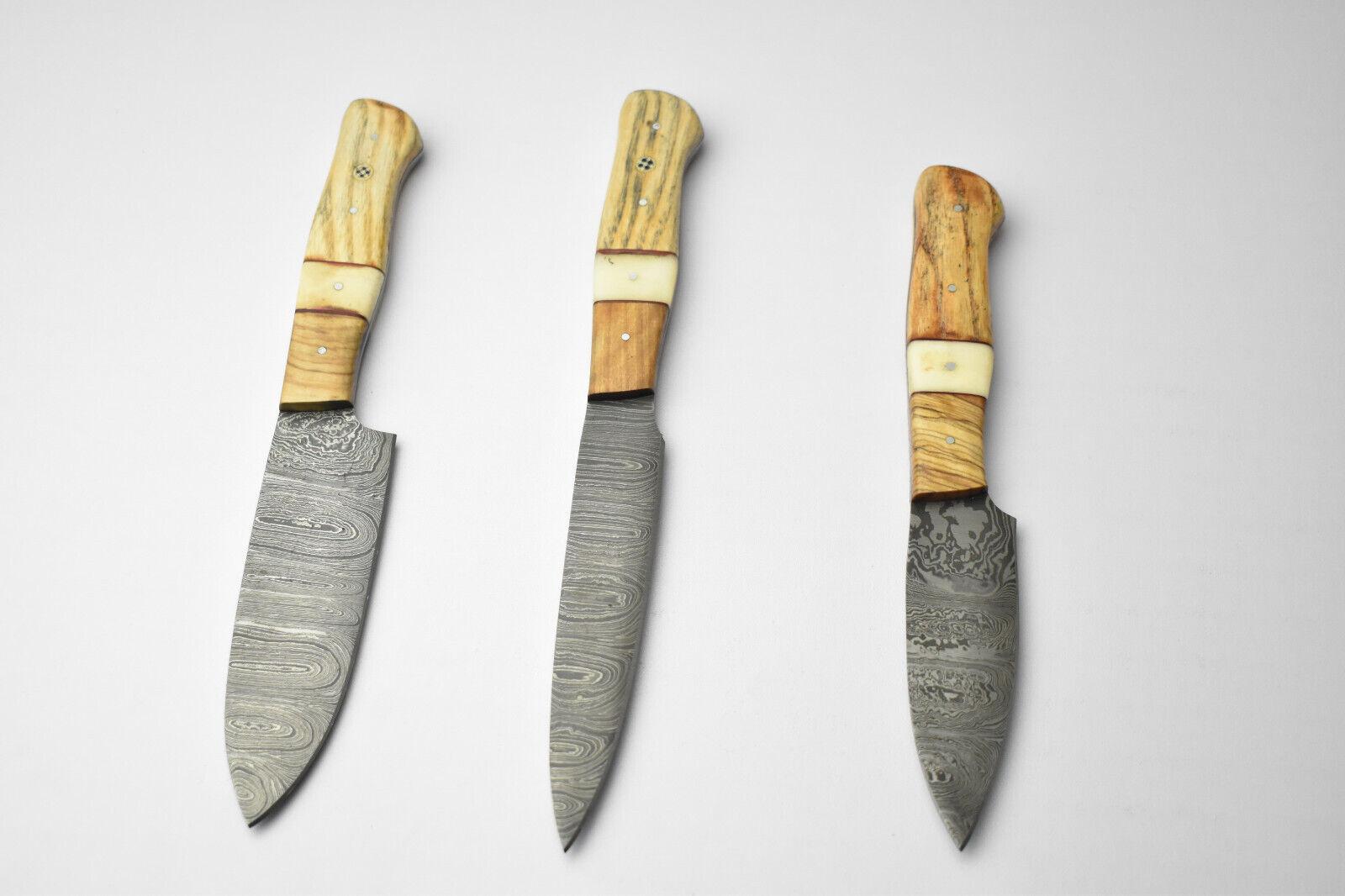 Set of 3 Handmade Damascus Knife Set Best Kitchen Knives Set for Chefs With Leather Sheath