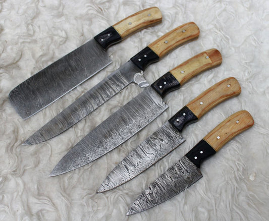 Set of 5 Handmade Damascus Kitchen Knife Set Chef Knives with Resin Art Handles 