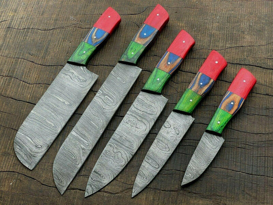 Set of 5 Handmade Damascus Knife Set Best Kitchen Knives Set for Professional Use W/Sheath