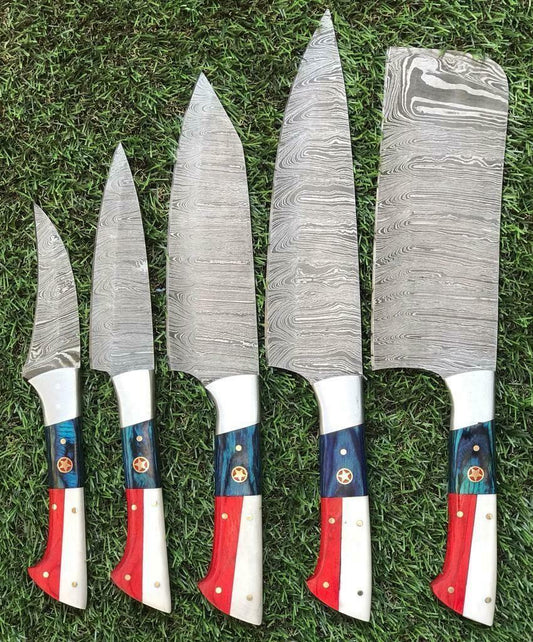 Set of 5 Handmade Damascus Steel Knife Set Great Kitchen Knife Set with Pakkawood Handle