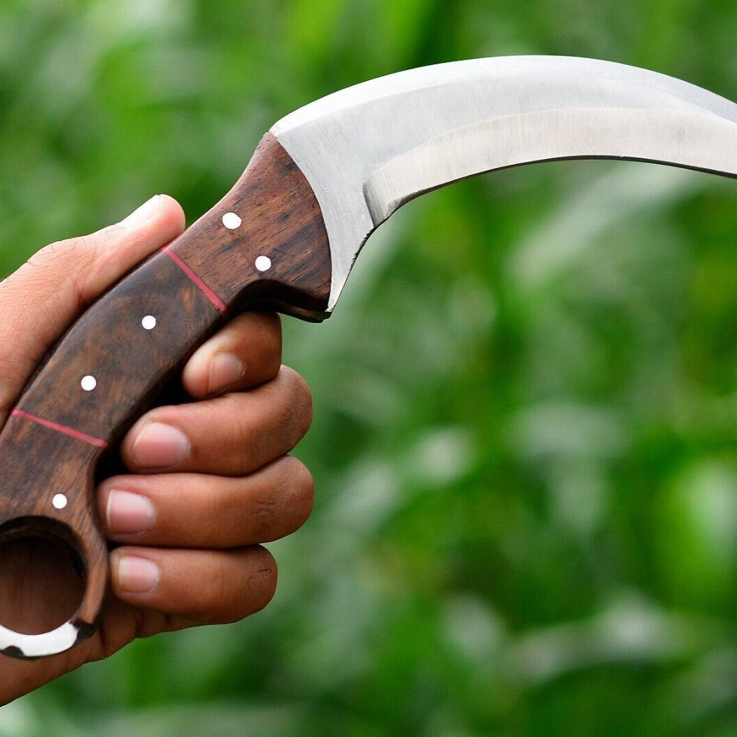 Handmade D2 Steel Karambit Survival Hunting Knife with Rosewood Handle and Sheath