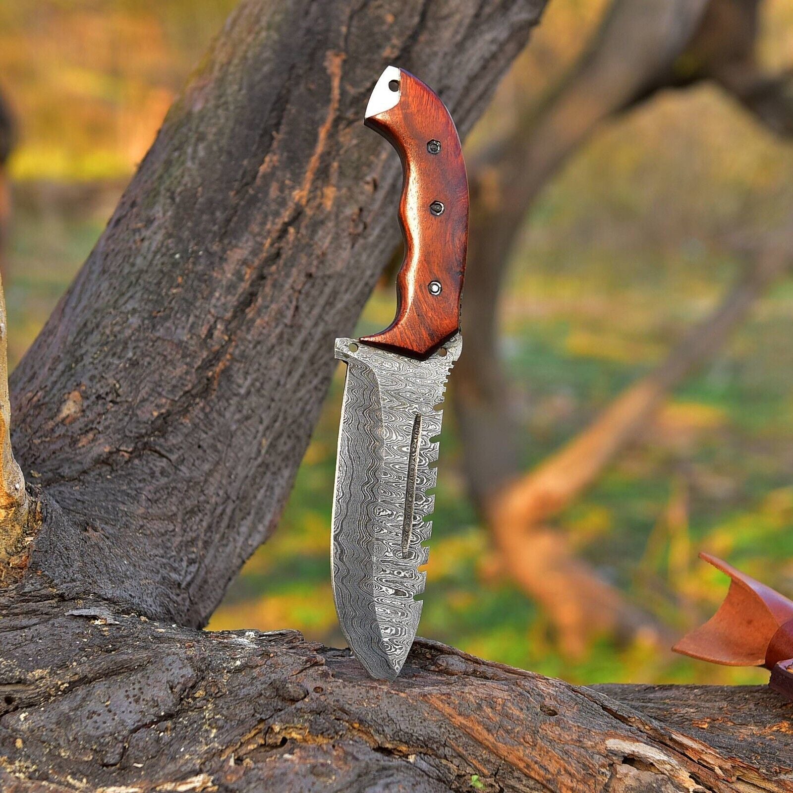 Tactical Survival Hunting Tanto Blade Damascus Tracker Knife – 10" Handmade Full Tang with Wood Handle & Leather Sheath
