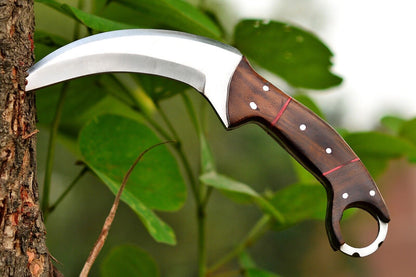 Handmade D2 Steel Karambit Survival Hunting Knife with Rosewood Handle and Sheath